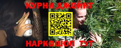 мдпв Гусь-Хрустальный