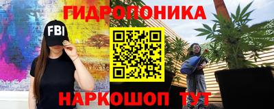 соль ск Гусев