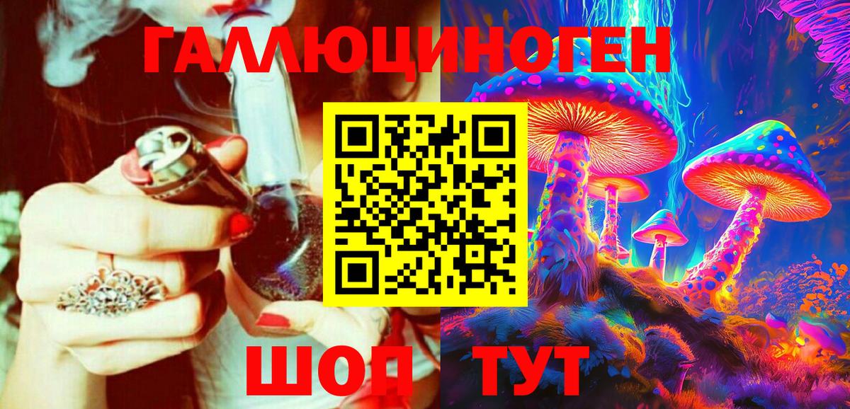 Псилоцибиновые грибы Psilocybe Мичуринск
