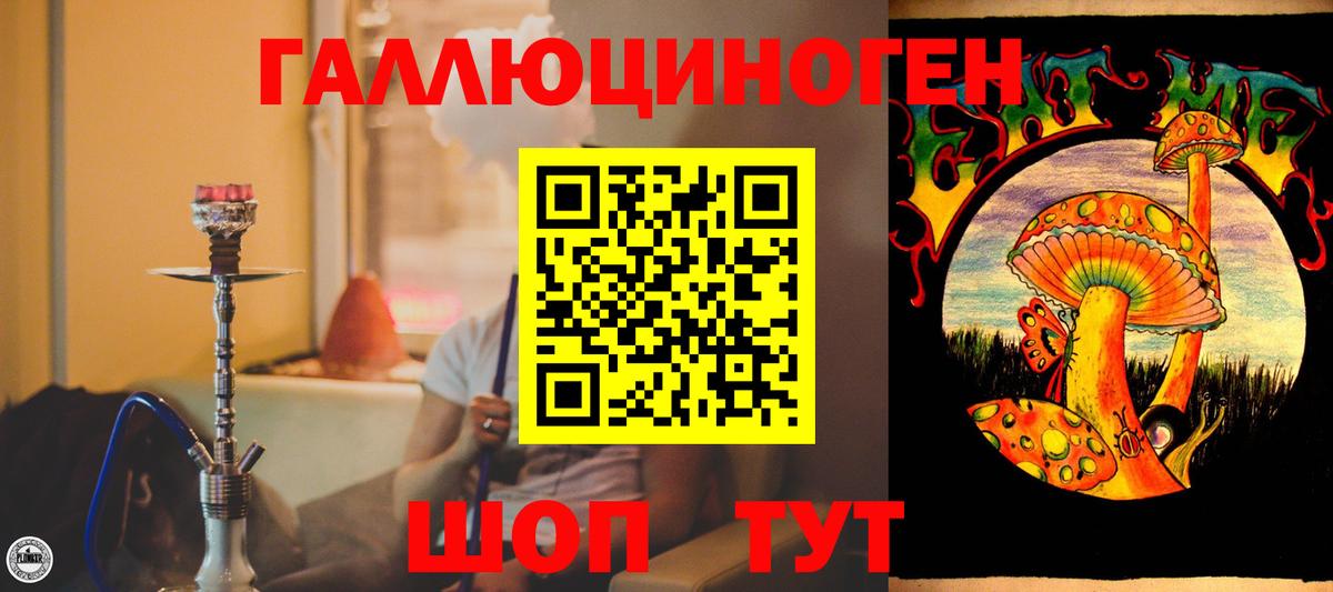 Псилоцибиновые грибы GOLDEN TEACHER  Псилоцибиновые грибы Cubensis  Вход с VPN  Мичуринск 